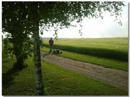 Fliegen am 25. Mai 2012