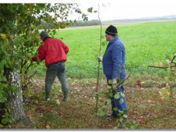 Arbeitseinsatz 2009