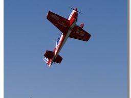 Flugtag 2007